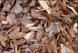 Corteza Mulching de Pino en big 500ccc