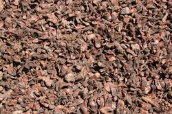 Corteza Mulching piña saca grande