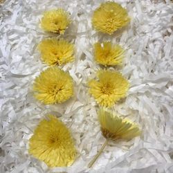 Crisantemo Sharp Preservado Caja 8 uds.