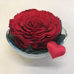 Cristal con Rosas Preservadas Premium