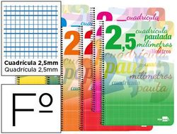 Cuaderno Espiral Liderpapel Folio Pautaguia Tapa Blanda 80H 80 Gr Cuadro Pautado 2,5Mm con Margen Colores Surtidos