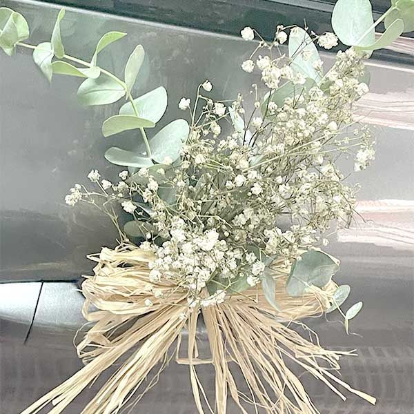 Cuatro Lazos Coche Rafia