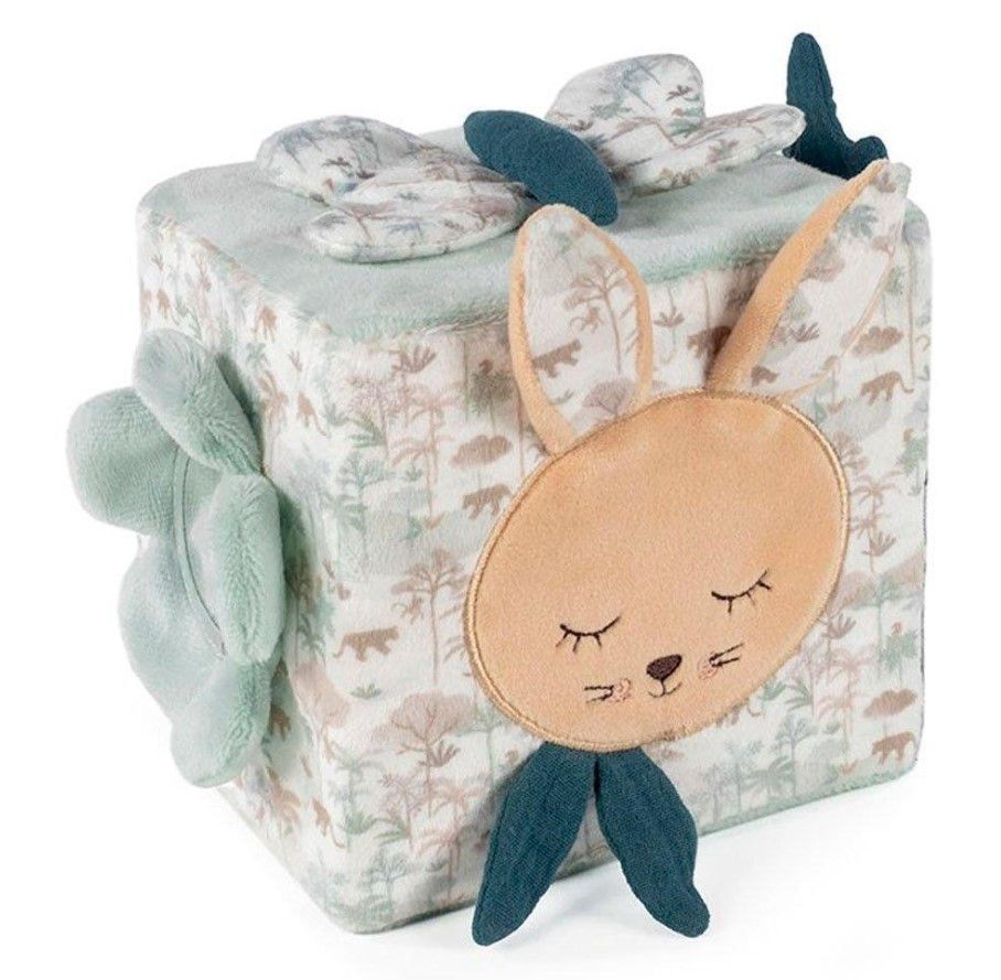 Cubo de actividades Serengueti Pasito a Pasito