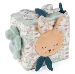 Cubo de actividades Serengueti Pasito a Pasito