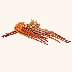 Cuerpos L. 1 kg . 4 Piezas