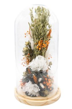 Cúpula de cristal modelo Anaís con hortensia preservada de color blanco