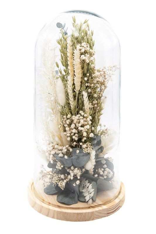 Cúpula de cristal modelo Clara, elegante con paniculata preservada