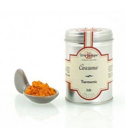 Cúrcuma en polvo terre exotique