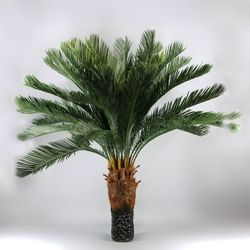 Cyca Revoluta Ignifuga Artificial