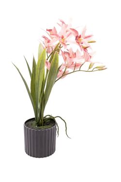 Delicada Orquídea artificial Cymbidium en tonos rosa