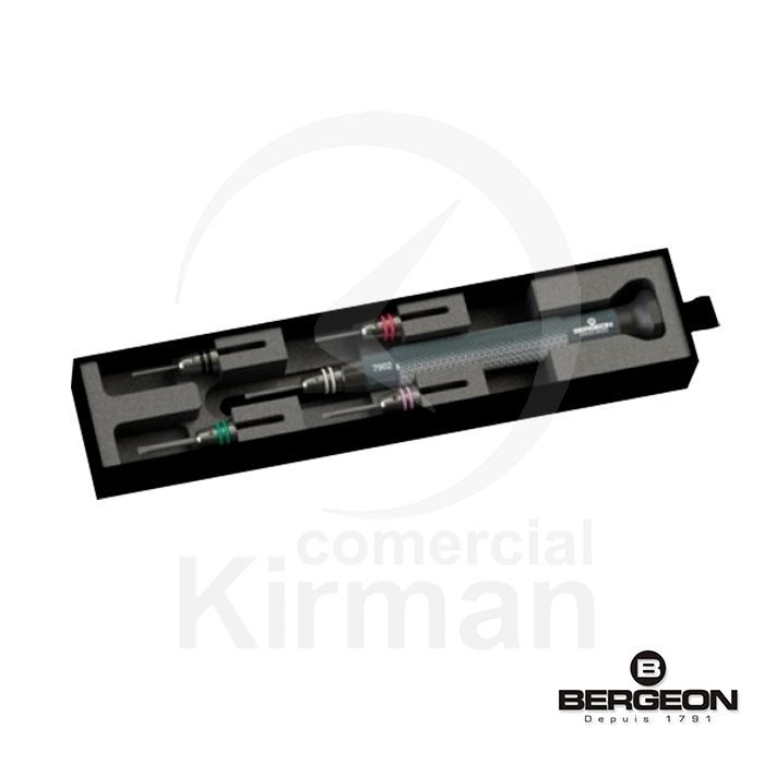 Destornillador De Precisión Bergeon Acero 45120 (5) Adaptadores