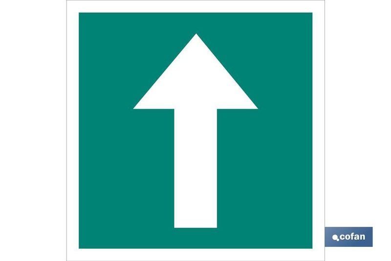 Dirección Evacuación. Referencia EV25LU.............