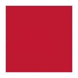 Display 12 Packs 30 Servilletas Rojo