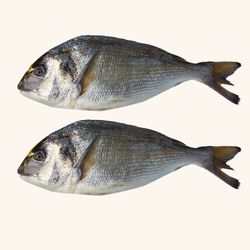 Dorada Nacional Limpia y Entera. 2 Unidades de 350gr aprox/ c/u