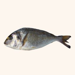 Dorada Nacional limpia y entera. 350 gramos