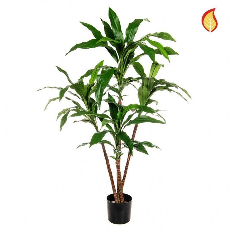 Dracaena Deremensis Ignífuga Artificial