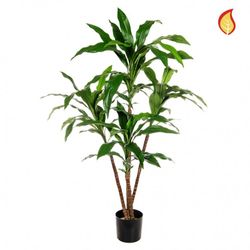 Dracaena Deremensis Ignífuga Artificial