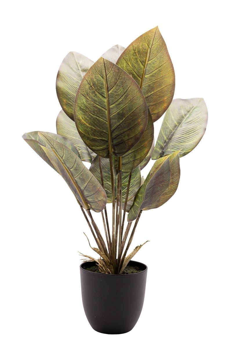 Elegante Philodendron artificial