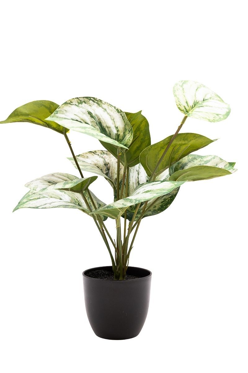 Elegante Photos Satinado artificial