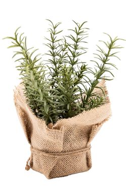 Encantador pequeño Tomillo artificial