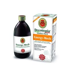 Energy Mech 500ml Gianluca Mech