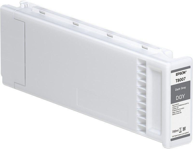 EPSON C13T800700 Gris