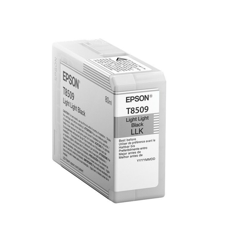 EPSON C13T850900 Negro