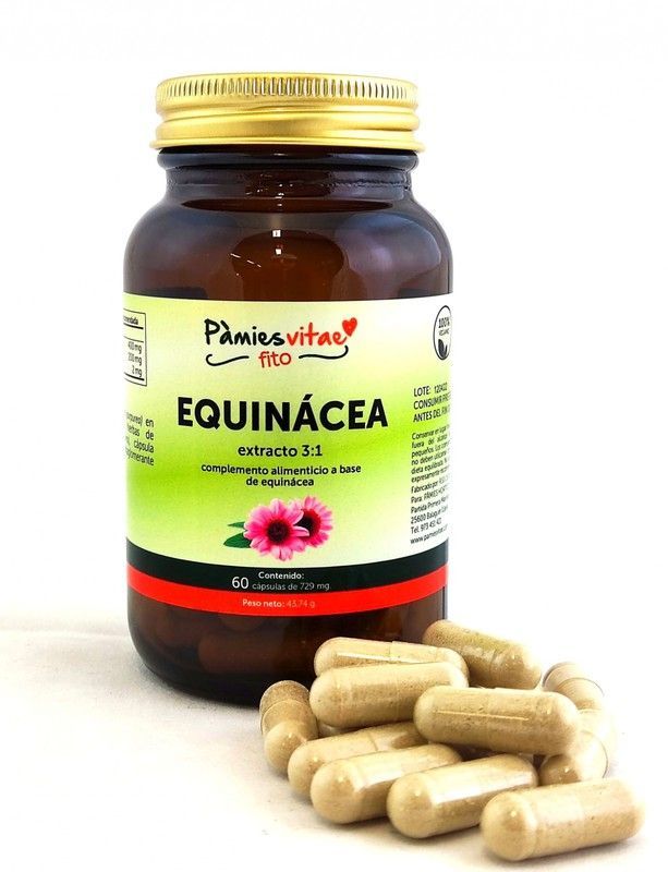 Equinácea PV (60 cápsulas) Cápsulas