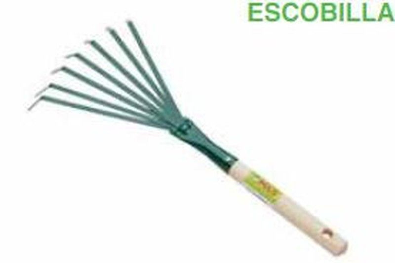 Escobilla de mano con mango