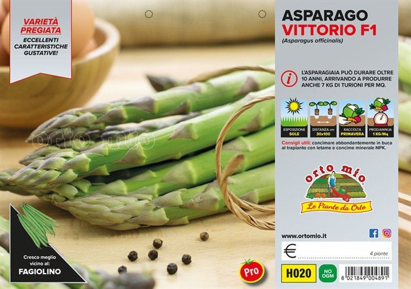 Espárrago Verde Vittorio 4 Plantas en Pack