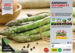 Espárrago Verde Vittorio 4 Plantas en Pack