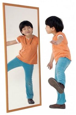 Espejo de seguridad: Haya natural 65 x 10 cm