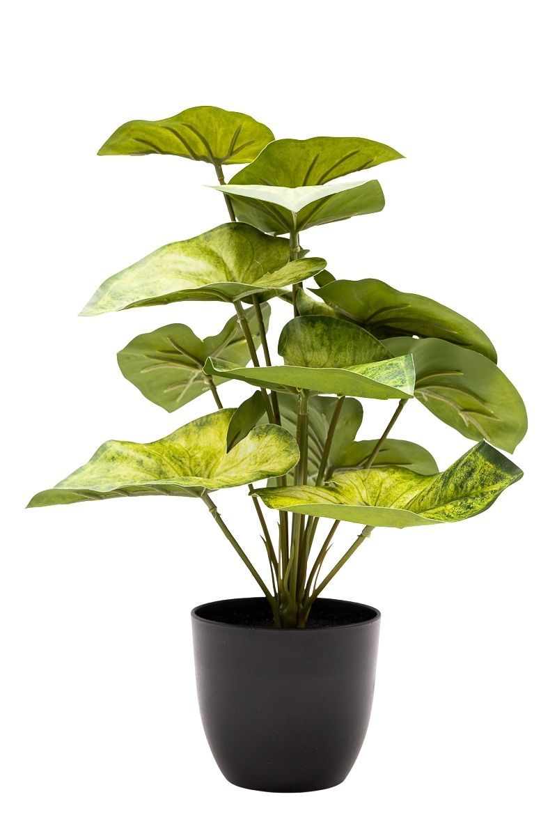 Estilizado Syngoium Artificial