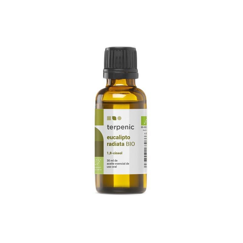 Eucalipto Radiata 30ml Bio