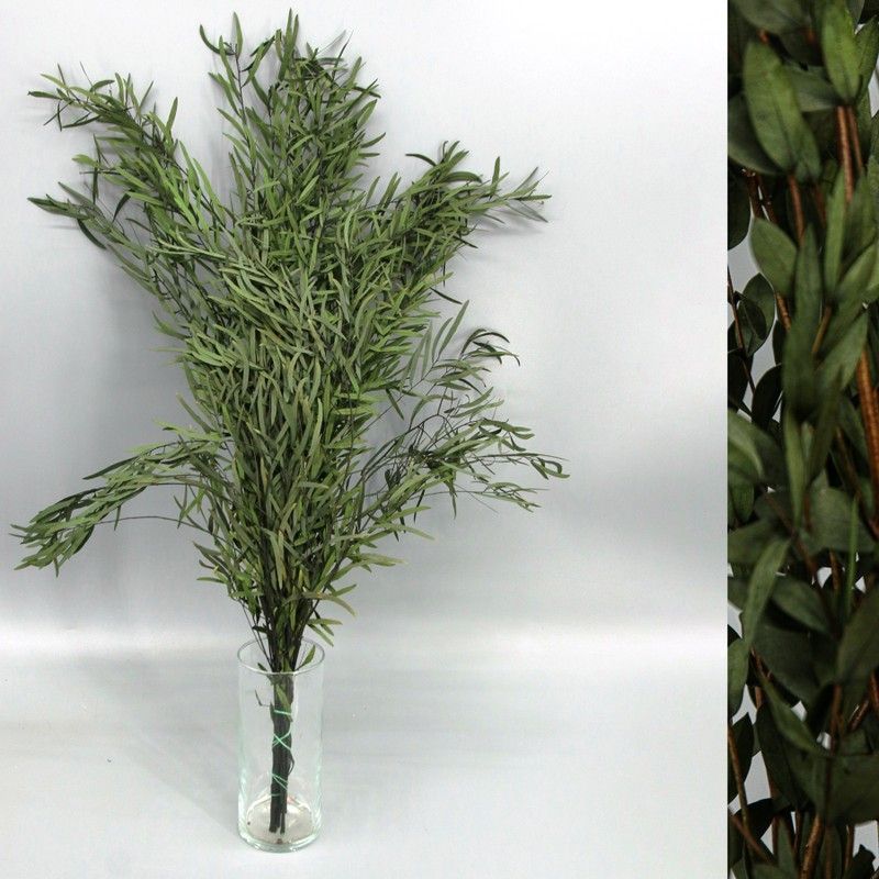 Eucaliptus Nicoly Verde Preservado