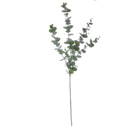 Eucaliptus Planta Artificial Zaraplant