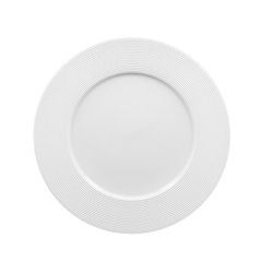 Evolution plato llano 22 cm