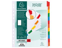 Exacompta separador de cartulina blanca+pestala de color A4+ 12posiciones ref.4312e