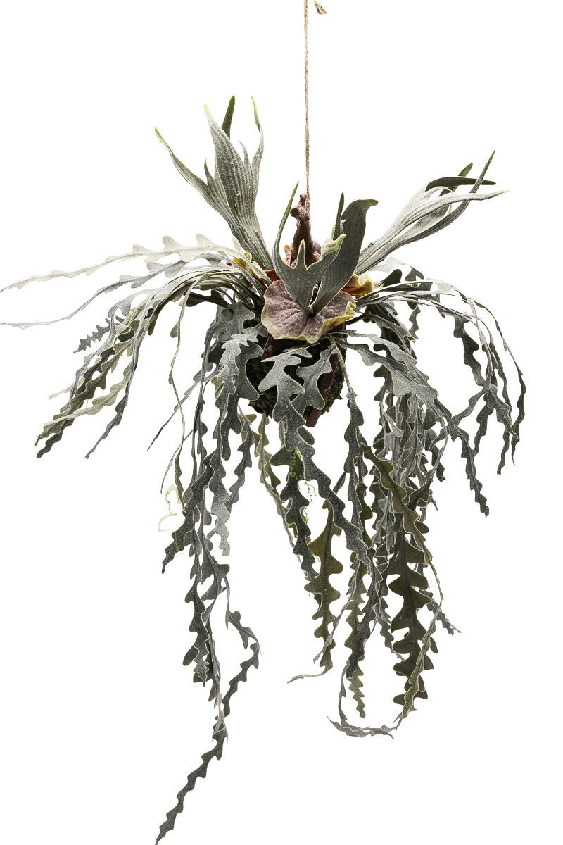 Exótica KoKedama de Helecho Cuerno de Alce artificial