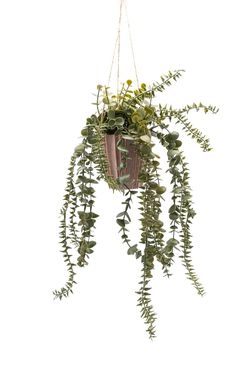 Exuberante Helecho con Eucalipto artificial