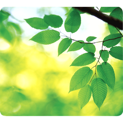 FELLOWES Alfombrilla reciclada Earth Series hojas 5903801