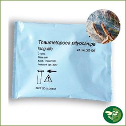 Feromona para procesionaria Pino-fase mariposa