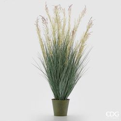 Festuca C/Amenti C/Vaso MET.H100 B9