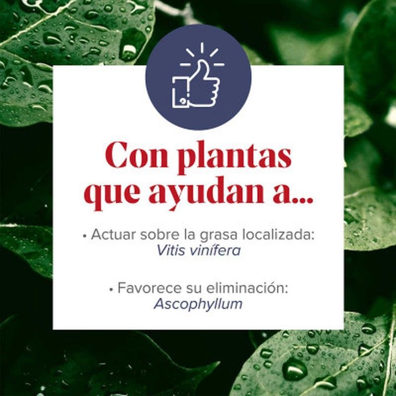 Figurmed Zonas Rebeldes 60 Cápsulas