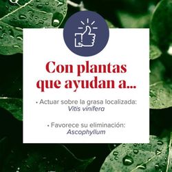 Figurmed Zonas Rebeldes 60 Cápsulas