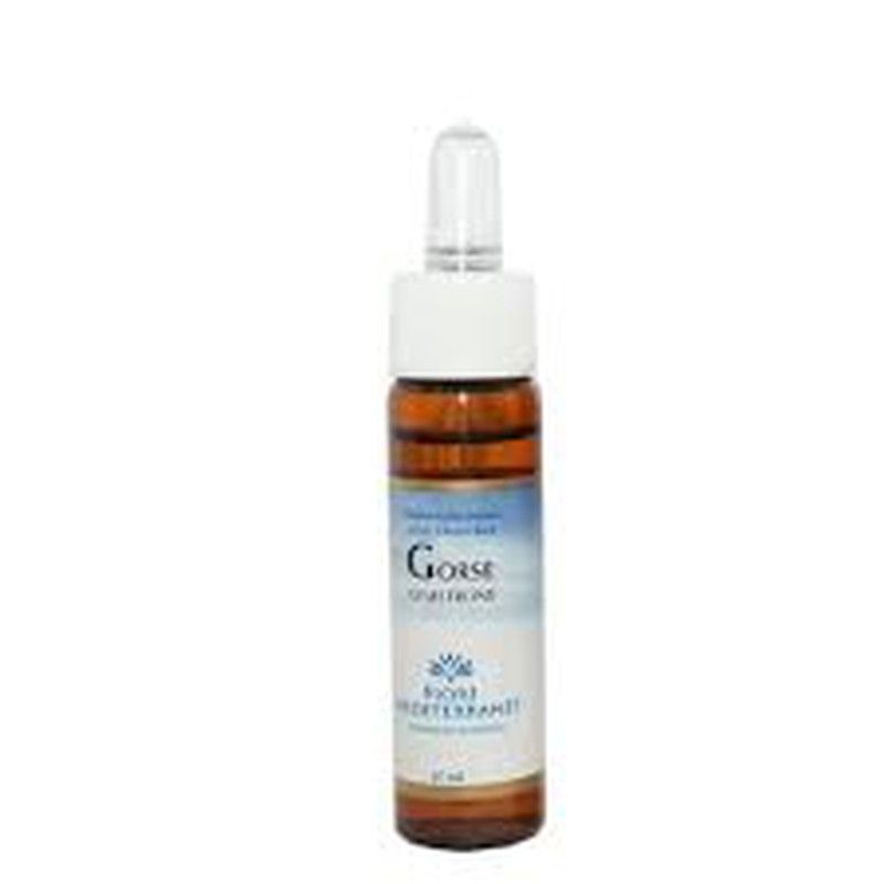 Fiori Mediterranei Gorse 10 Ml