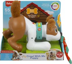 Fisher - Price - Perrito Gatea Conmigo