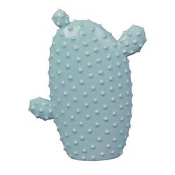 Flat Cactus Esmerlda