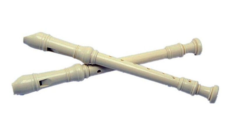 Flauta plastico con funda