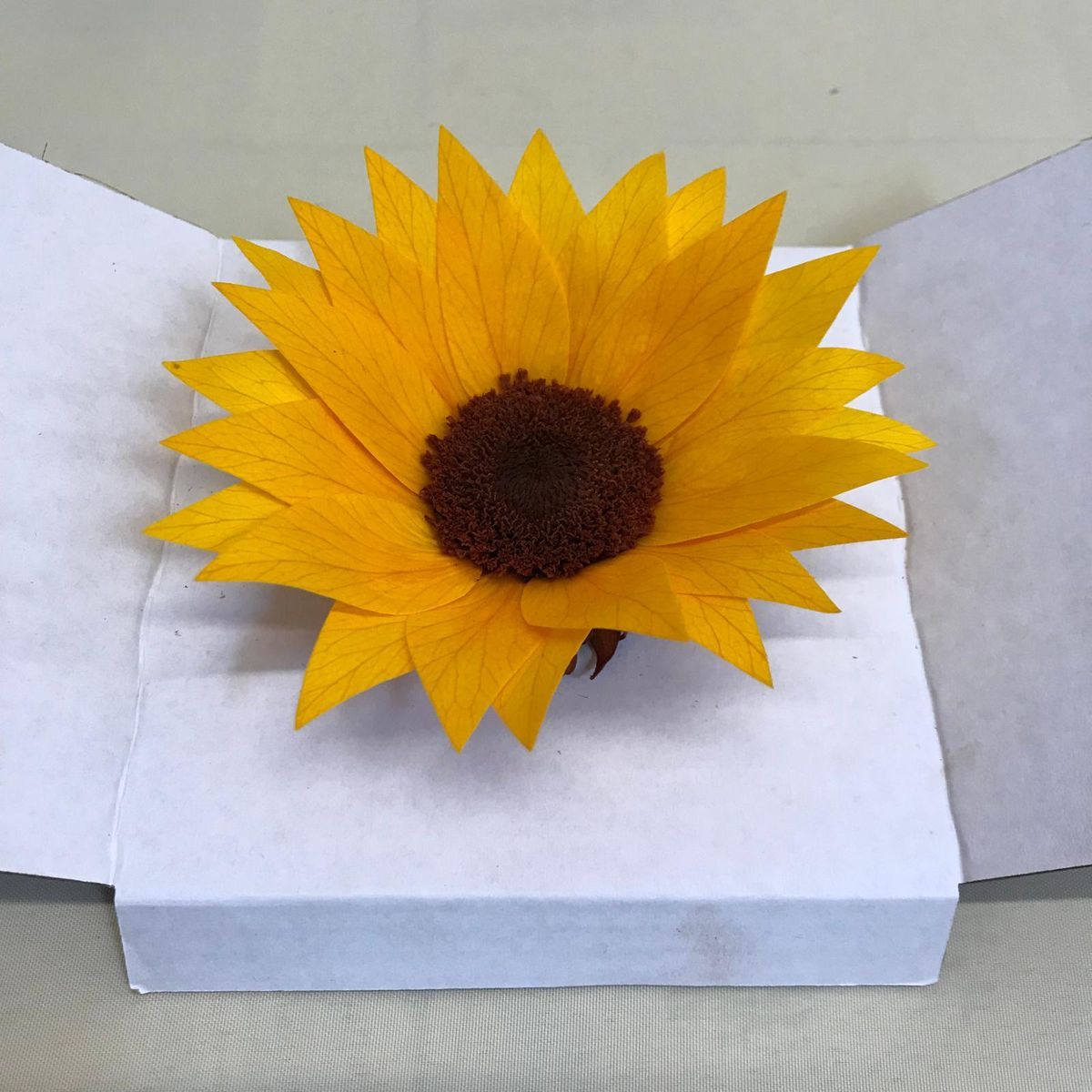 Flor tipo Girasoles Preservados